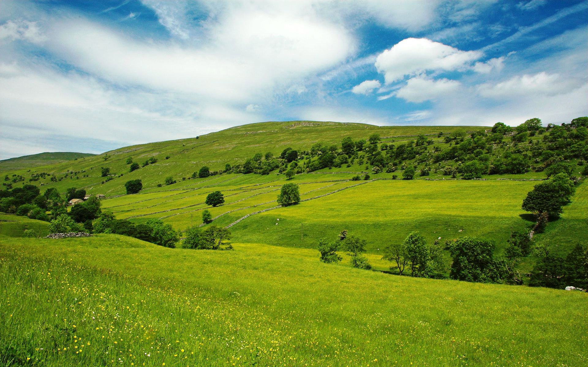 Campo Bellavista
